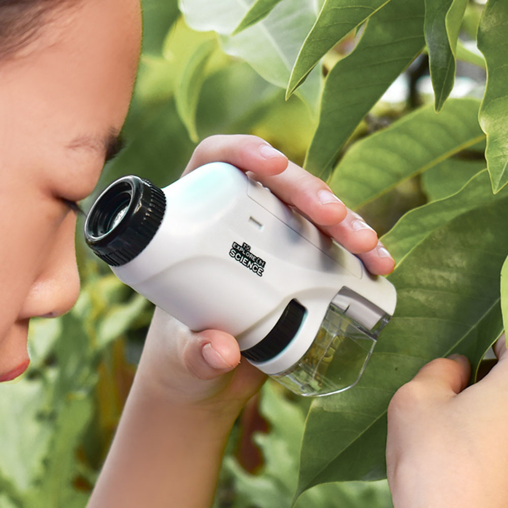 Handheld Pocket Microscope 60- - Outdoor Power Kit ulasan dan harga